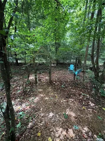 317 Sunset Grove Drive Holly Springs NC 27540