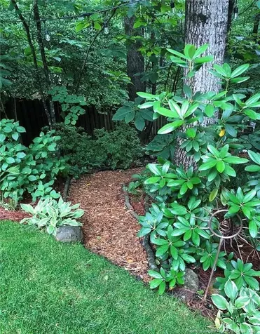 317 Sunset Grove Drive Holly Springs NC 27540