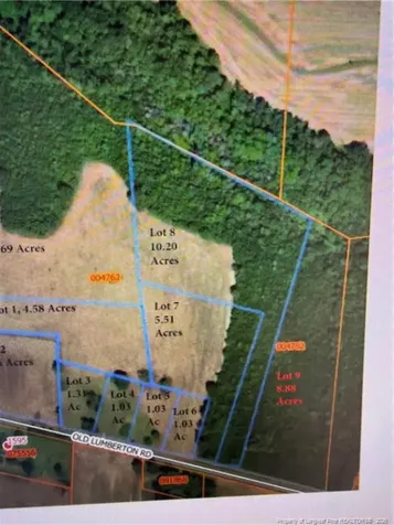 Lot 8 Old Lumberton Road Whiteville NC 28472