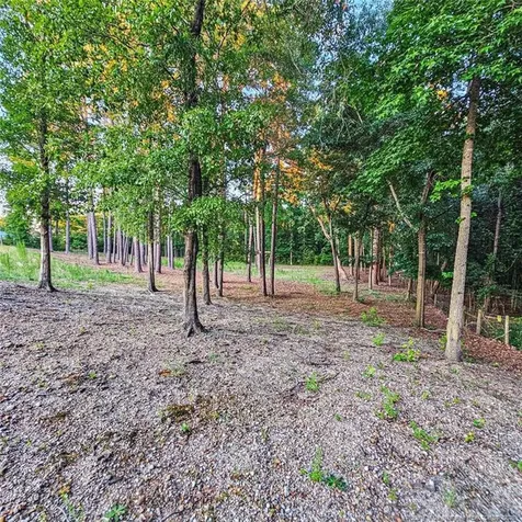 833 Brown Road Lillington NC 27546