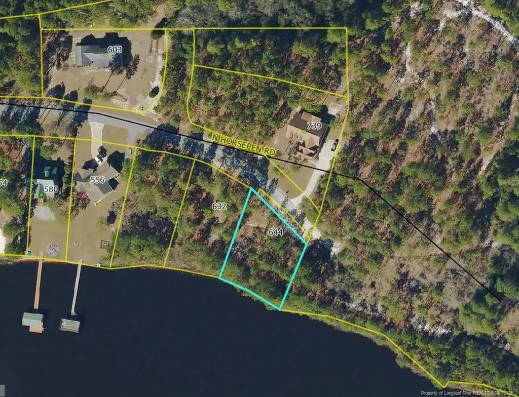 LOT#510 N Horsepen Road Harrells NC 28444