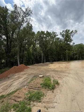 0 Fire Department Road Wilsons Mills NC 27527