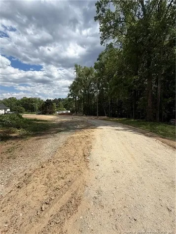 0 Fire Department Road Wilsons Mills NC 27527