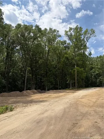 0 Fire Department Road Wilsons Mills NC 27527