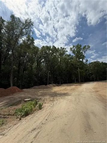 0 Fire Department Road Wilsons Mills NC 27527