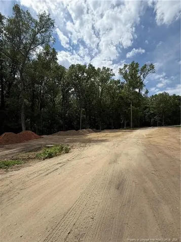 0 Fire Department Road Wilsons Mills NC 27527