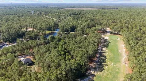 15941 Old Orchard Court Wagram NC 28396