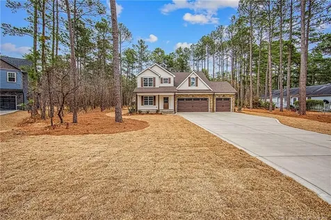 28941 Pinedale Court Wagram NC 28396