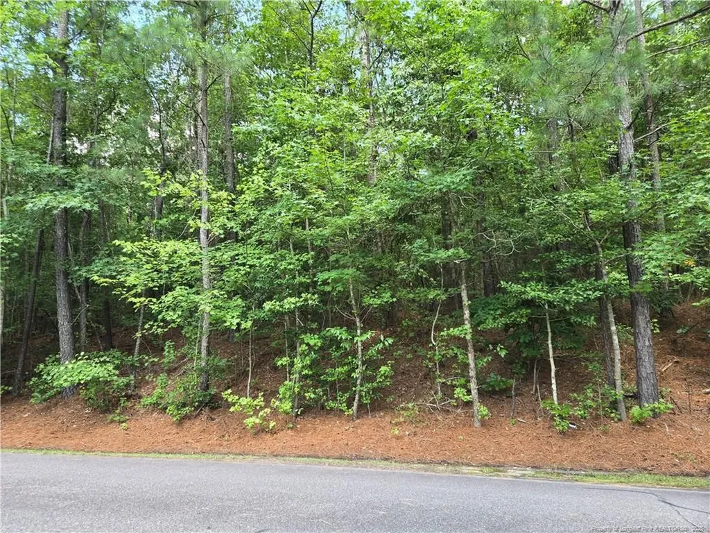 893 Loblolly Drive Woodlake NC 28394