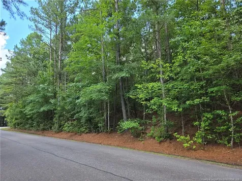 893 Loblolly Drive Woodlake NC 28394
