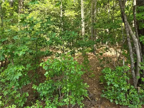 893 Loblolly Drive Woodlake NC 28394