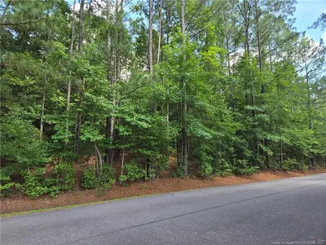 893 Loblolly Drive Woodlake NC 28394