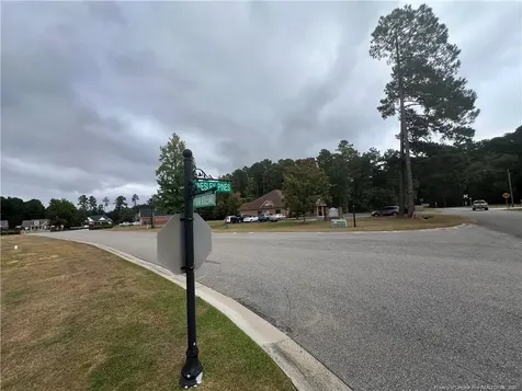 Wesley Pines Road Lumberton NC 28358