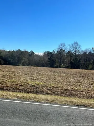 Wire Grass Road Orrum NC 28369