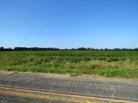 Tbd Cowpen Swamp Road Fairmont NC 28340