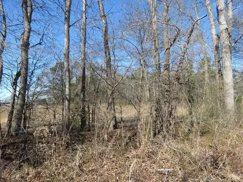 Tbd Kehukee Drive Parkton NC 28371