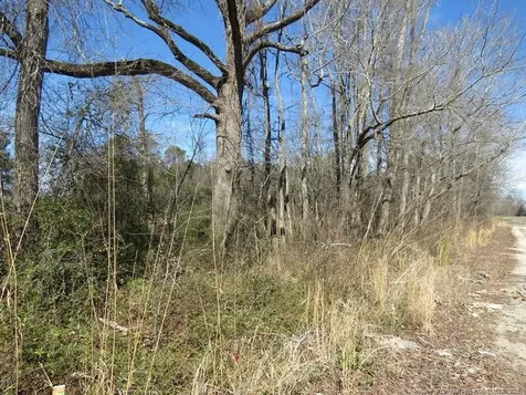 Tbd Kehukee Drive Parkton NC 28371