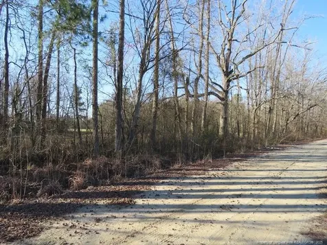 Tbd Kehukee Drive Parkton NC 28371