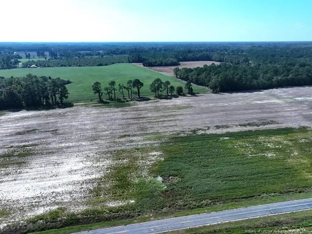 Tbd Cowpen Swamp Road Fairmont NC 28340