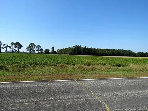 Tbd Cowpen Swamp Road Fairmont NC 28340