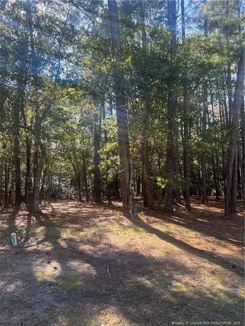 2108 Arnold Palmer Drive Shallotte NC 28470
