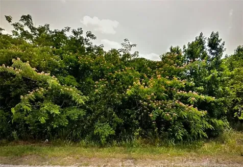 Tbd S Robeson Road Rowland NC 28383