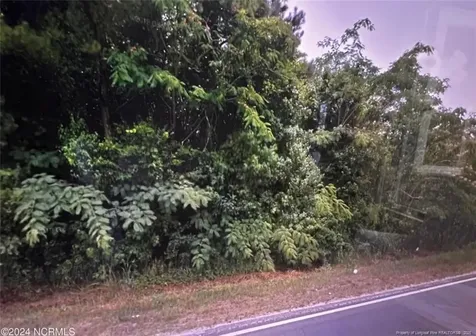 Tbd S Robeson Road Rowland NC 28383