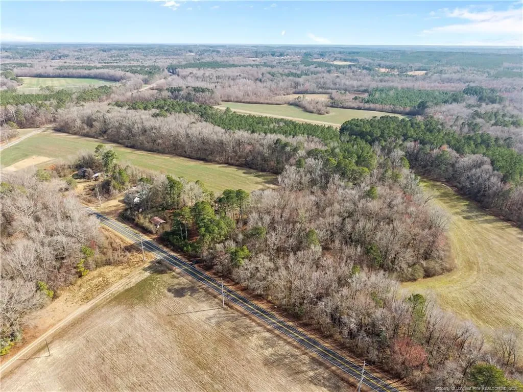 1896 & 0 Clark Road Lillington NC 27546