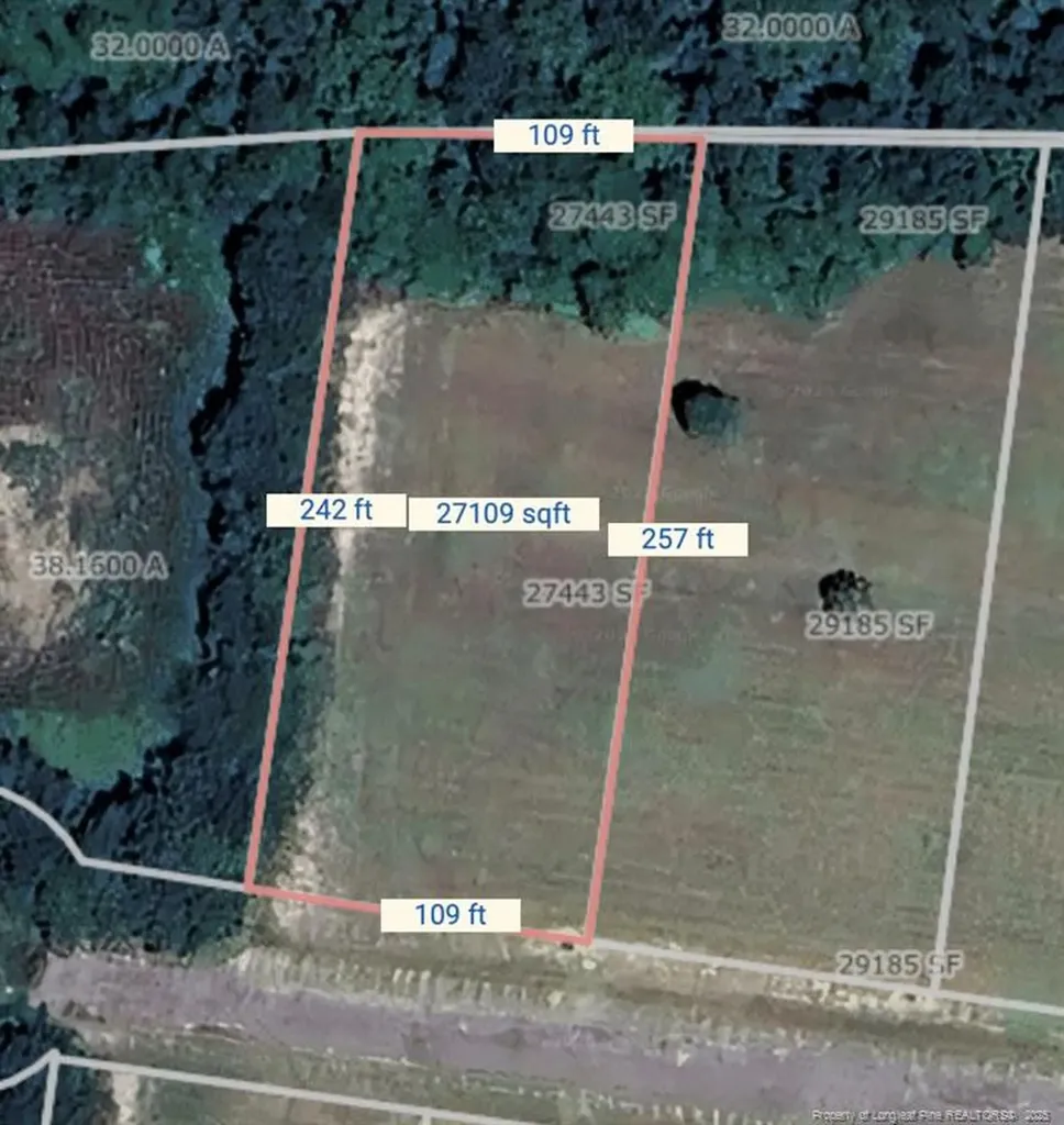 Dandelion (lot 77) Drive Lumberton NC 28360