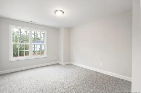 30080 Loblolly Court Wagram NC 28396