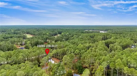 30080 Loblolly Court Wagram NC 28396
