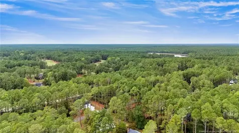 30080 Loblolly Court Wagram NC 28396