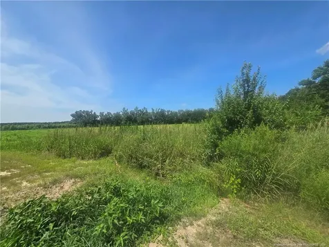 0 Everett Road Parkton NC 28371