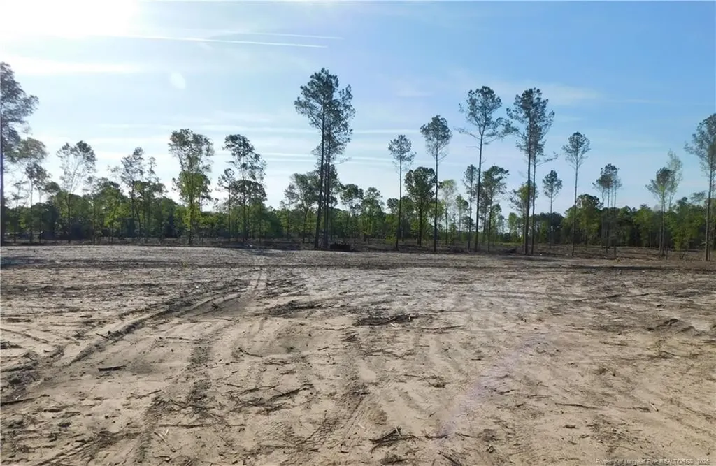 Lot 11 Sand Rock Road Fairmont NC 28340