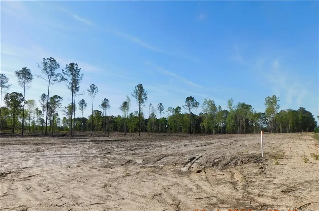 Lot 9 Sand Rock Road Fairmont NC 28340