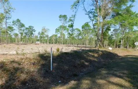 Lot 4 Nc 904 Highway Fairmont NC 28340