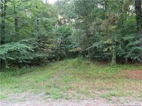 Christian Chapel Church Road Lillington NC 27562