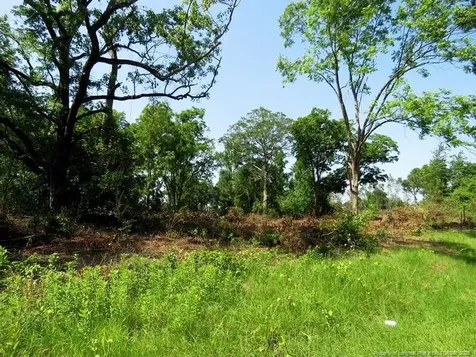 Tbd Nc Hwy 71 Highway Red Springs NC 28377