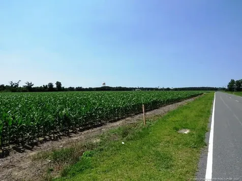 Tbd Nc Hwy 71 Highway Red Springs NC 28377