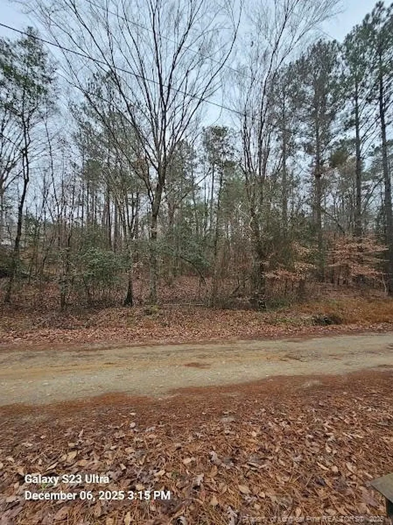 307, 321, 337 Dauphine Street Fuquay Varina NC 27526
