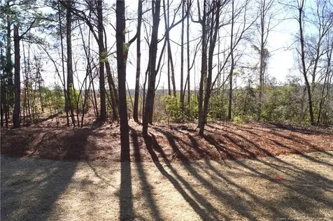 899 Ponderosa Trail Cameron NC 28326