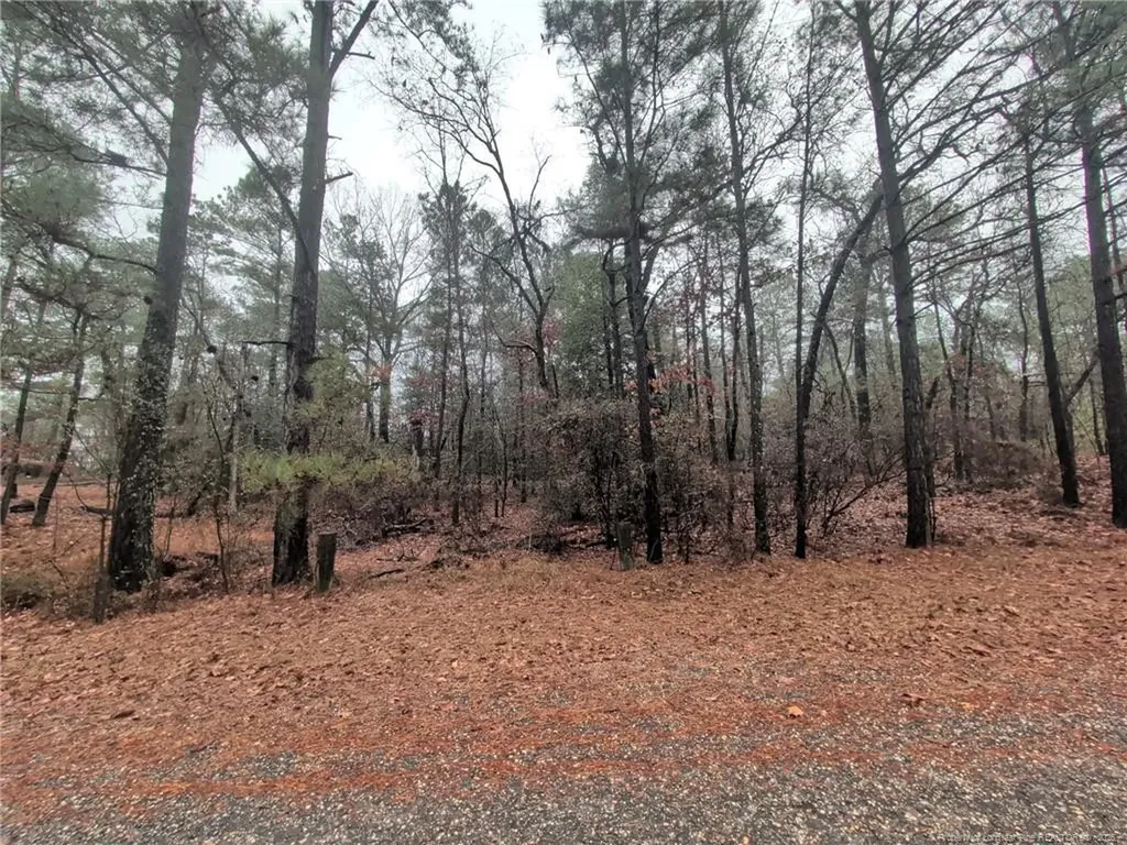 1211 Laurel Circle Vass NC 28394