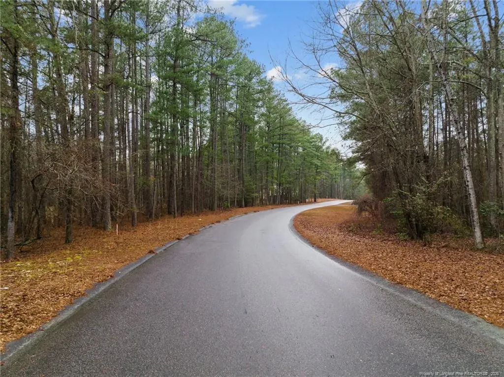 221 Pebble Drive West End NC 27376