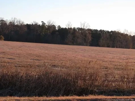 Raynham Road Fairmont NC 28340