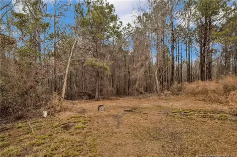 8521 Candlebrush Drive Linden NC 28356