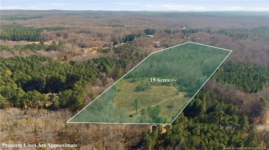 1600 Mt. Willing Road Efland NC 27243