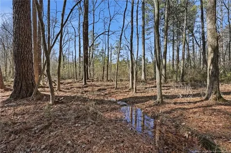 1600 Mt. Willing Road Efland NC 27243
