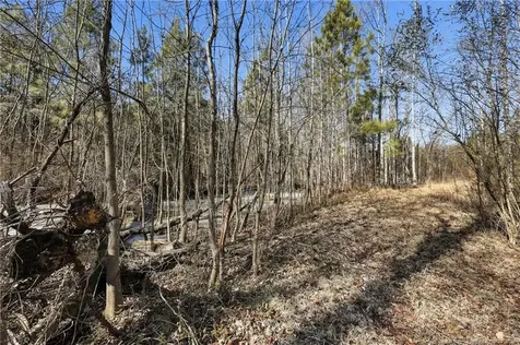 1600 Mt. Willing Road Efland NC 27243