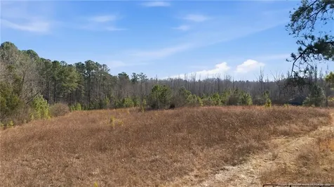 1600 Mt. Willing Road Efland NC 27243