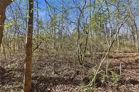Lot B 1600 Mt. Willing Road Efland NC 27243
